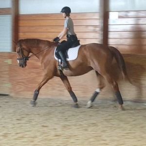 Meet your Posher, Sarah